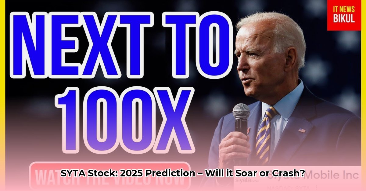 syta-stock-forecast-2025